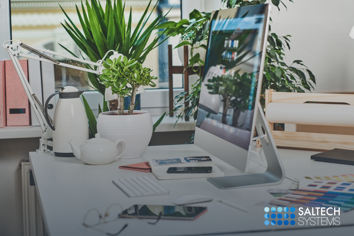 web design services